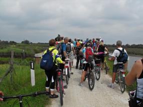 Gruppo compatto